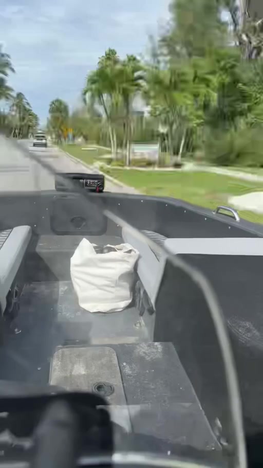 A view from aboard Jordan’s WaterCar driving along a palm-lined road
